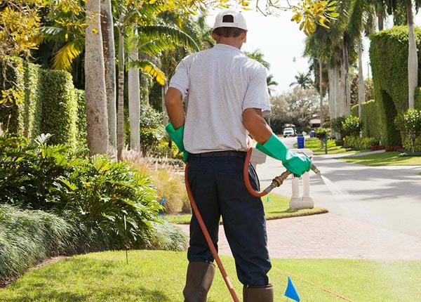 About Louisville OH Pest Control Pros